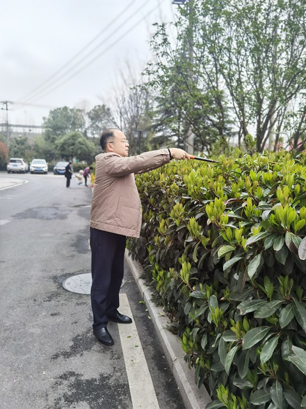 【輝隆置業(yè)】黨支部植樹節(jié)黨日活動(dòng)