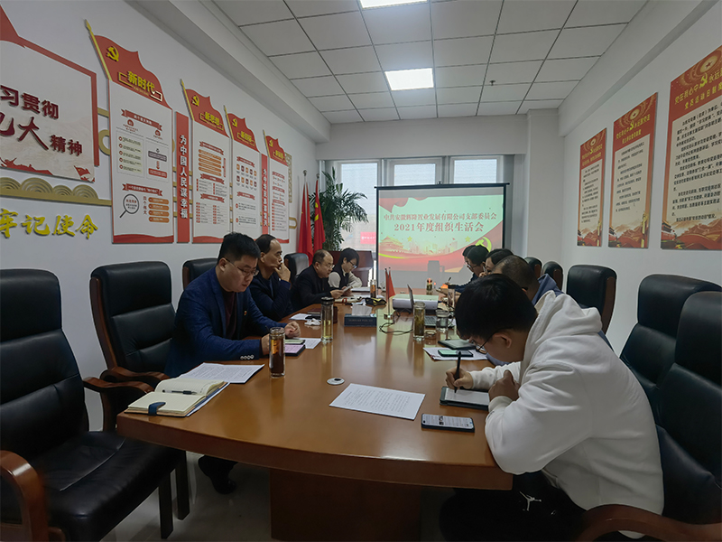 【輝隆置業(yè)黨支部】召開(kāi)2021年度組織生活會(huì)